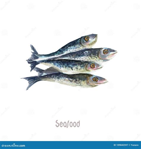 Fresh Fish Whole Isolated On A White Background Stock Illustration