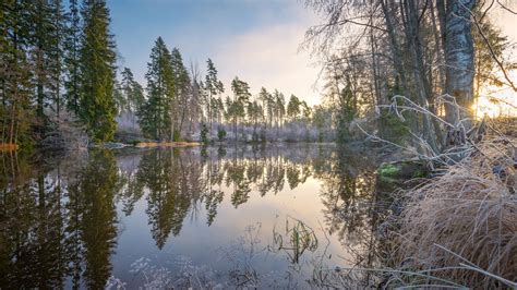 Reflection Of Trees On Lake And Blue Sky Hd Nature Wallpapers Hd