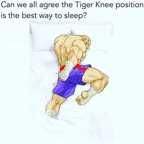 Yes Can We All Agree The Tiger Knee Position Is The Best Way To Sleep