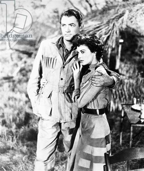 Snows Of Kilimanjaro 1952 Gregory Peck And Ava Gardner In A Scene From