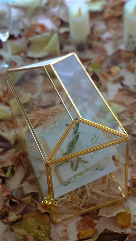 Us Standard And Large Geometric Glass Card Box Terrarium With Etsy