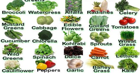 Grow your cucumbers in full sun and in light, rich soil for the best results. 20 Alkaline Foods To Eat Everyday