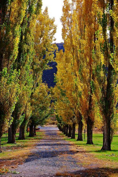 Fall Walk Wetcanvas Reference Image Library Autumn Landscape Oil