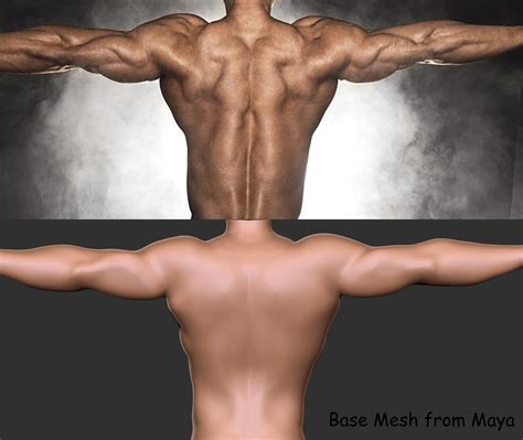To review the anatomy and biomechanics of the back muscles related to the lumbar spine with relevance for biomechanical modeling. Shiv Swain - Back Muscles Anatomy 01