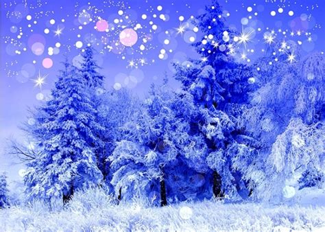 Snow Covered Forest Winter Wonderland Backdrop Christmas Party