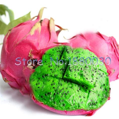 The tropical climate is good for dragon fruit cultivation. 200PCS 7 different dragon fruit Pitaya Seed - fruit-seeds
