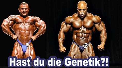 So Erkennst Du Deine Bodybuilding Genetik Youtube