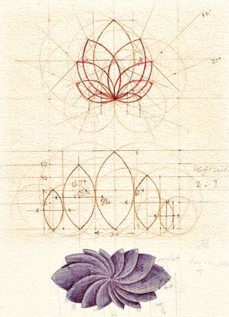 From classic paintings to modern art, lotus flowers to draw a lotus flower, start by sketching an oval with dots inside to represent the seed pod. 2D and 3D design techniques used by Sydney jeweller ...