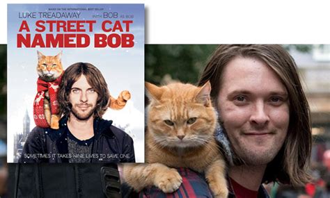 A Street Cat Named Bob Coming To Dvd Blu Ray And Vod On