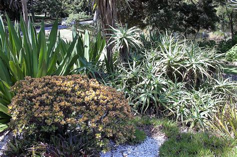 5 Five 5 Auckland Botanic Gardens Manurewa New Zealand