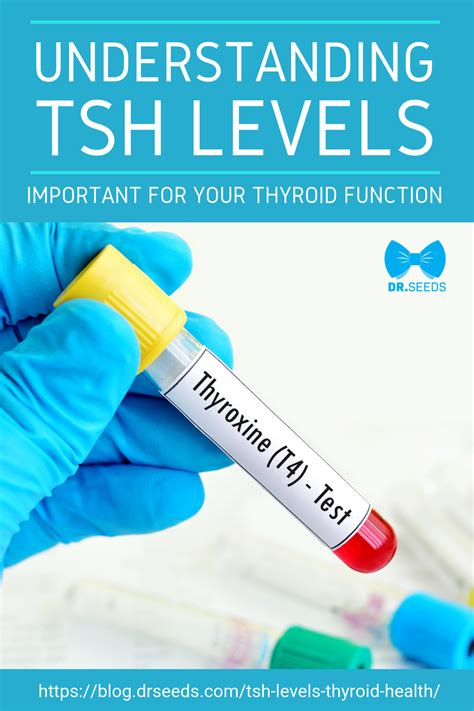 Understanding Tsh Levels Important For Your Thyroid Function What