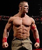 John Cena Height Weight Body Statistics | WWE | Brock lesnar wwe, John ...