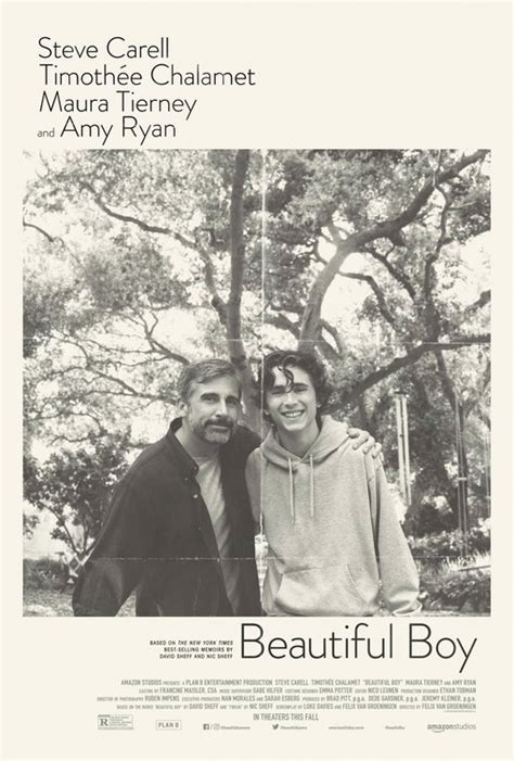 Beautiful Boy Movie Poster 1 Of 5 Imp Awards