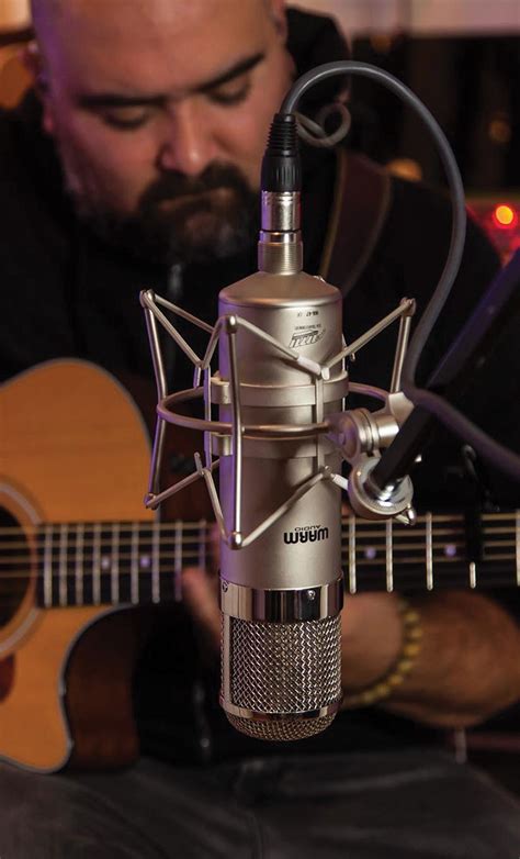 Wa 47 Tube Condenser Microphone Msrp 899 Featured Artist Of Warm