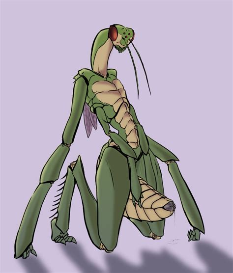 Rule 34 Dungeons And Dragons Female Insects Presenting Pussy Thri Kreen 1250550