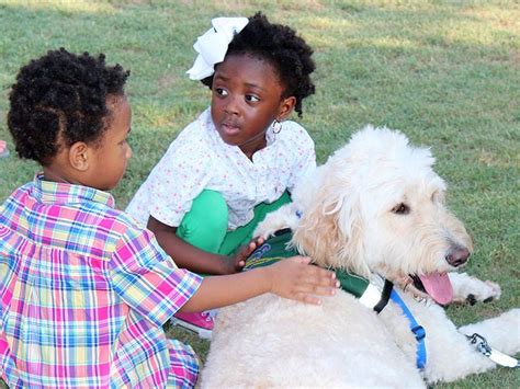 Therapy Dogs Bring Smiles To South Carolina After Church Tragedy