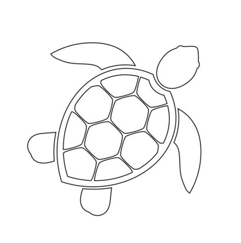 Turtle Outline You Can Change These According To Your Preference