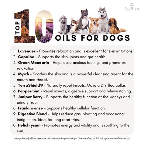 Doterra Serenity For Dogsnew Daily Offersuk