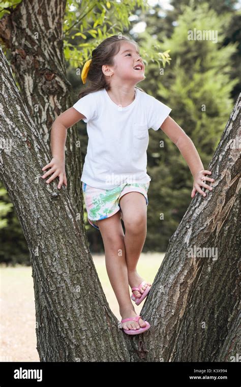 Happy Little Girl Climbing A Tree Stock Photo Alamy