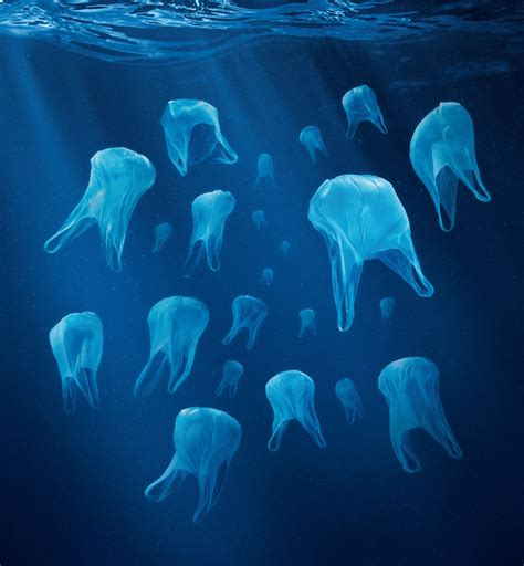 International Study Reveals 269000 Tonnes Of Plastic Waste In World Oceans