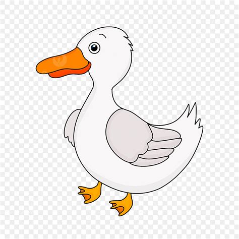 White Duck Cartoon