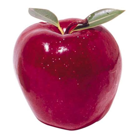 Foto buah apel yang cocok untuk menghiasai background komputer atau laptop anda. TIPs dan TRIK Desain Grafis: Apel Terbang dengan PhotoShop CS4