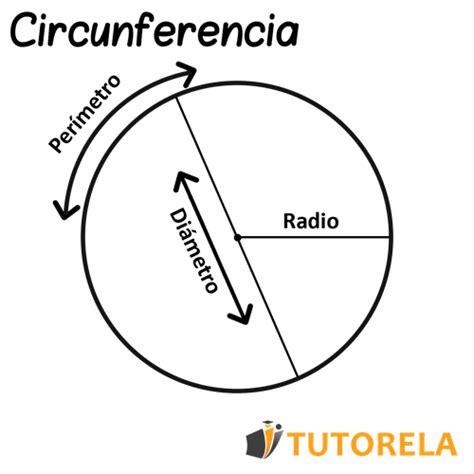 Elementos De La Circunferencia Tutorela