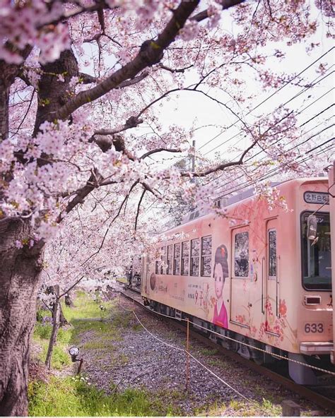 Pink Train In Kyoto Wonderful Places Kyoto Japan Japan Picture