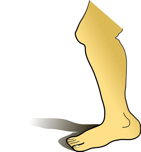 ขา หน้าแข้ง เท้า กราฟิกแบบเวกเตอร์ฟรีบน Pixabay Pixabay