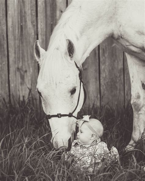 6 Month Old Baby Photo Shoot With Horse Cow And Country 6 Month
