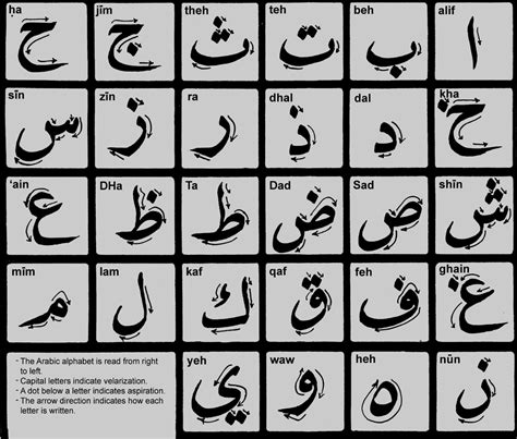 Arabic Alphabet Arabic Letters Learn Arabic تعلم العربية