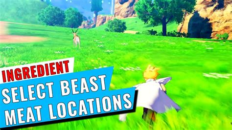 As dragon ball and dragon ball z) ran from 1984 to 1995 in shueisha's weekly shonen jump magazine. Select Beast Meat Dragon Ball Z Kakarot Locations | Where To Find | Tips & Tricks | GameClubz ...
