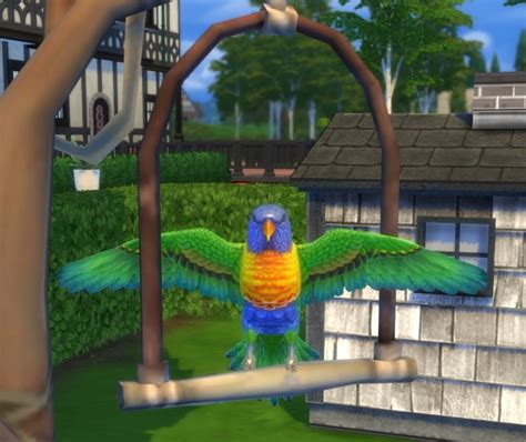 Cs Tropical Bird By Biguglyhag At Simsworkshop Sims 4 Updates