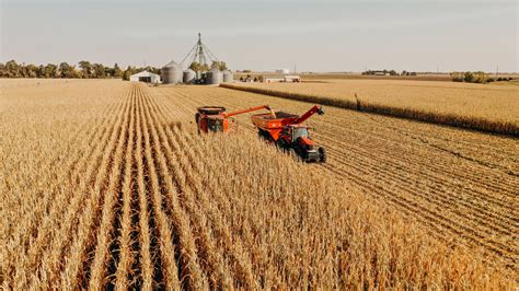 6 Facts You Didnt Know About Nebraskas Corn Harvest