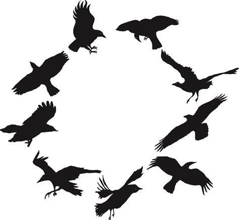 Black Crows Hi Res Flock Clipart Large Size Png Image Pikpng Images