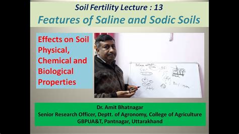Features Of Saline And Sodic Alkali Soils Youtube