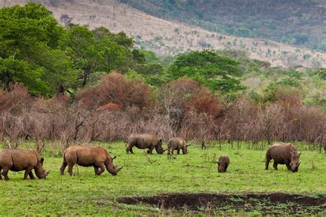 Ngorongoro Conservation Area The Expert Holidays