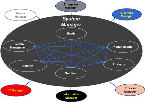 System Manager Role Standard Business