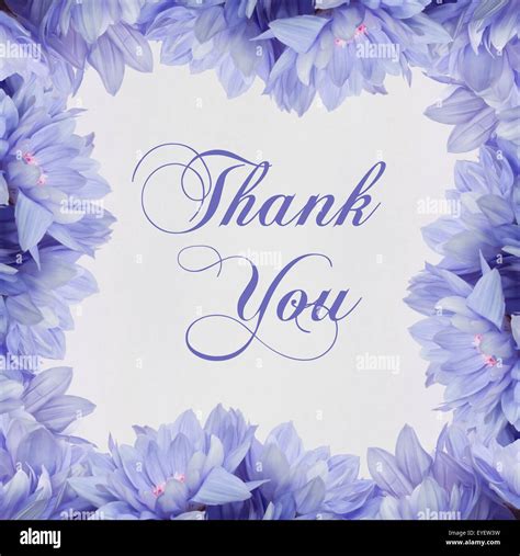List Images Thank You For The Flowers Images Completed