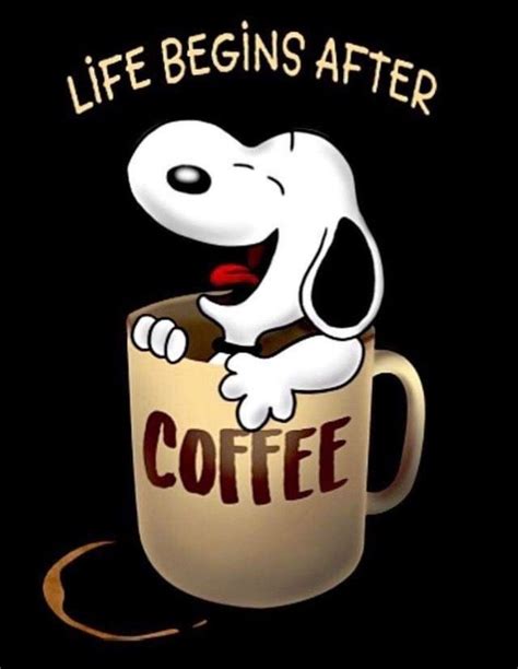 Got That Right Snoopy Funny Coffee Cartoon Snoopy Pictures