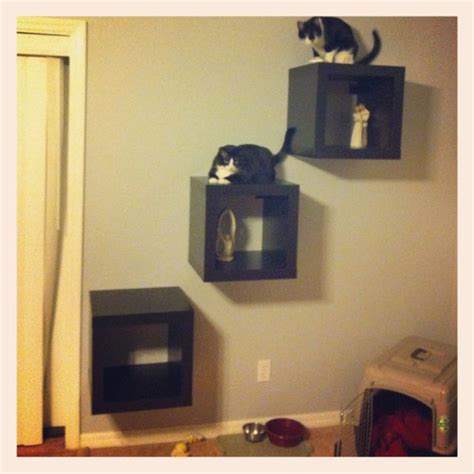 Stylish and functional cat shelves, condos, trees and perches. 241 best Cat Shelves, Condos, Trees & Perches images on ...