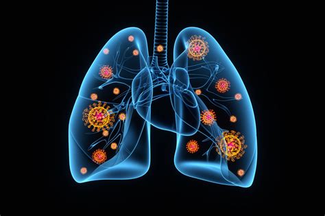 Evaluating Lung Recruitability In Acute Respiratory Distress Syndrome