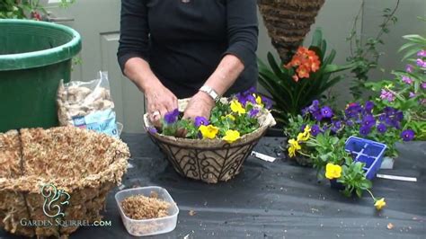 Use lush, trailing plants like these to overflow a traditional hanging basket and eventually cover it in fall, bring them back indoors to enjoy them for the winter season. Hanging Baskets - Easy (Pansy) - YouTube