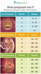 Pregnancy Diet Week By Week Pregnancy Diet Chart During Pregnancy