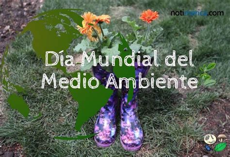 De Junio D A Mundial Del Medio Ambiente Por Qu Se Eligi Esta