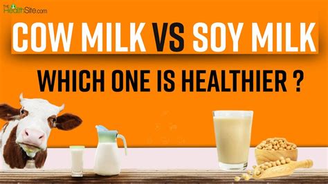 Cow Milk Vs Soy Milk Which Milk Is Healthiest Healthy Milk