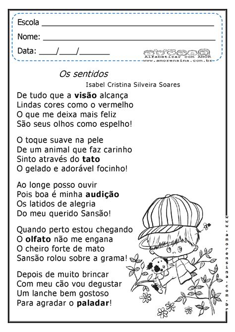 Organização Textual Interpretação Dos Sentidos Construídos Nos Textos