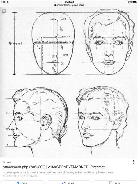 How To Draw Female Faces In Correct Proportions With Easy Drawing