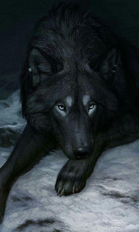 Pin Von Bine Auf Wölfe Tiere Wild Tierkunst Wolf