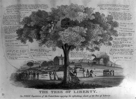 Featured Source Tree Of Liberty Tps Barat Primary Source Nexus